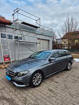 Mercedes-Benz E 200 d T Avangarde/Sportstyle/Vollleder/360°Kam - Mercedes-Benz E 200 Gebrauchtwagen in München