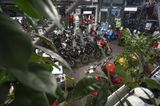 Ducati PANIGALE V4 SP 2 916 ***NEUZUSTAND*** - DUCATI 916 SP