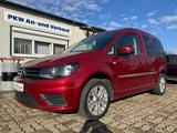Volkswagen Caddy PKW Trendline BMT - : Standheizung, Pkw