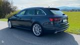 Audi A4 40 TDI S tronic quat. Av. 19" AHK Insp.06/25