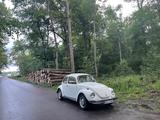 Volkswagen Käfer 1302 L mit Stahl-Schiebedach - Volkswagen Käfer: 1302