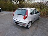 Fiat Punto 1.2 Ciao TÜV 03/2027 | 136.000 km | - Fiat Punto in Ludwigshafen