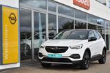 Opel Grandland X Elegance * AHK * Intellilux * - Opel Grandland (X) elegance mit Benzin-Antrieb
