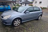 Opel Signum 2,2 Teilleder Ausstattung - Opel Signum mit Benzin-Antrieb: Limousine, 2.2