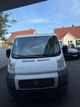 Fiat Ducato Multijet 100 LKW Zulassung  - Fiat Ducato in Saarbrücken