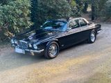 Jaguar XJ 12 C 5.3 Liter Coupé, Topzustand... - Jaguar XJ12: Coupé