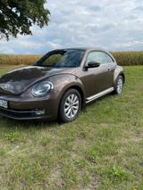 Volkswagen VW Beetle Toffeebraun - VW Beetle Gebrauchtwagen in Bremen