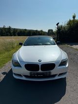 BMW 650i in Perlweiß! - BMW 650 aus 2006