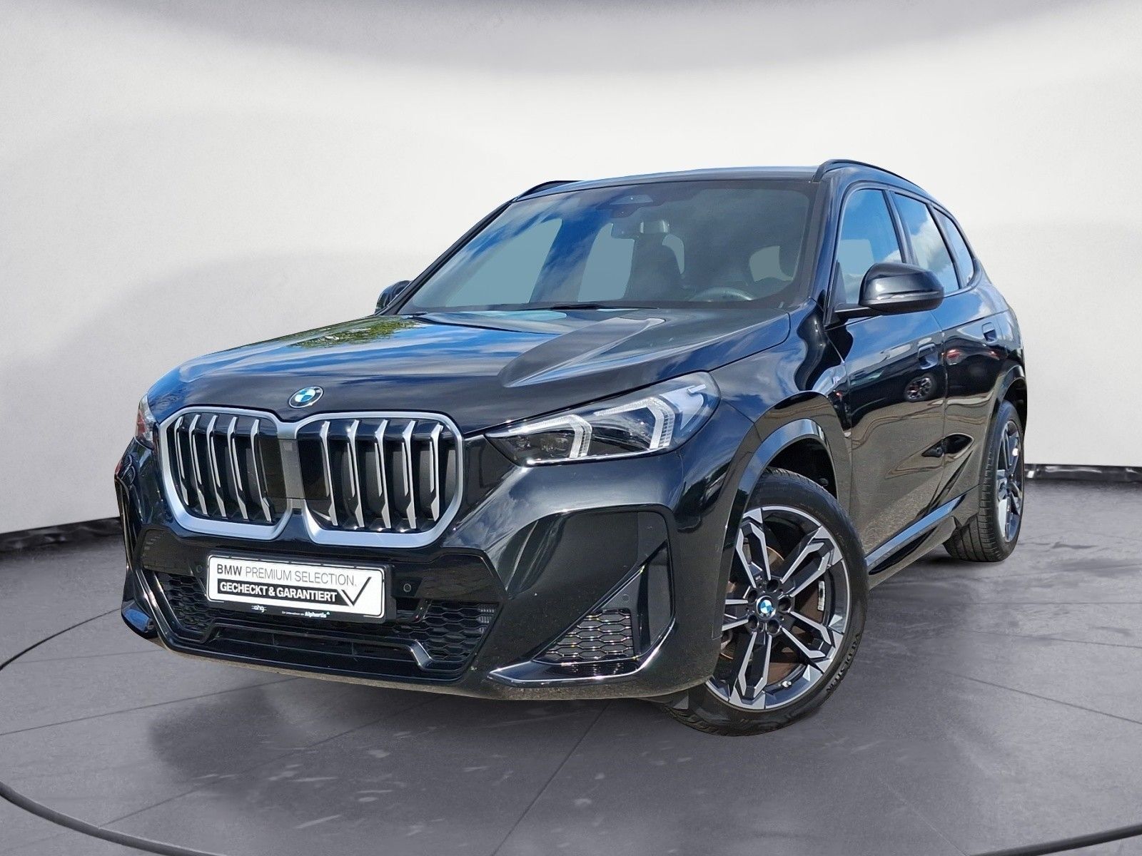 BMW X1 xDrive20d M Sport Navi RFK AHK Harman-Kardon foto 2