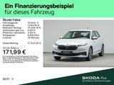 Skoda Fabia 1.0 TSI TOUR*NAVI*LED*PDC*NW GAR.3J/50000K - Skoda Fabia: 3.3