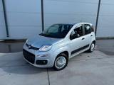 Fiat New Panda 1.2 8V MYSTYLE MYSTYLE - Fiat New Panda: Kleinwagen