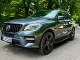 Mercedes-Benz ML 500 4MATIC - Sternenhimmel  - Mercedes-Benz ML 500: 4matic