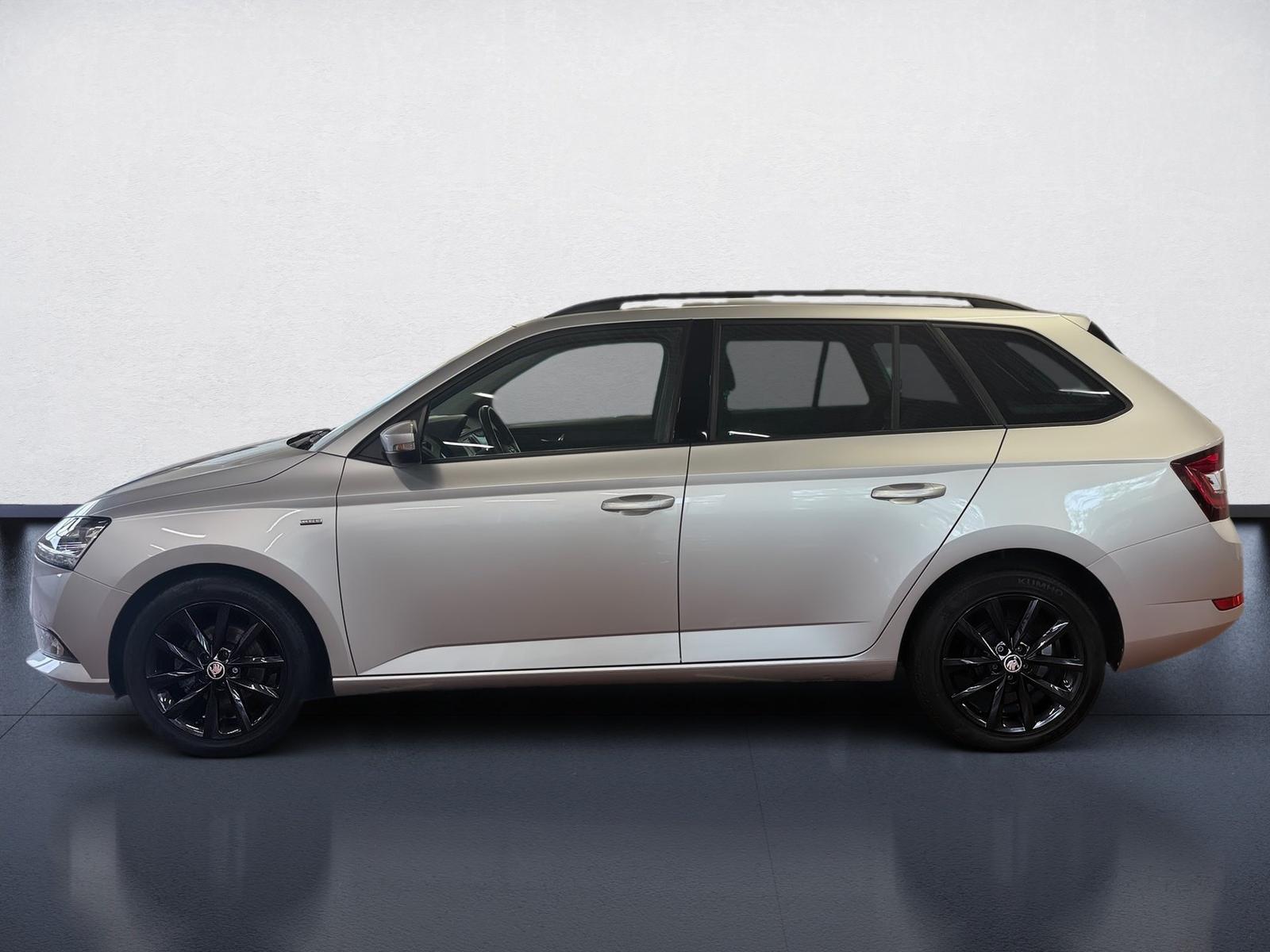 Skoda Fabia Combi 1.0 TSI Clever Best of LED Navi ACC