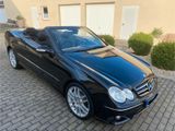 Mercedes-Benz CLK 200 KOMPRESSOR Sport Edition, Leder, Xeno - Mercedes-Benz: Clk Sport
