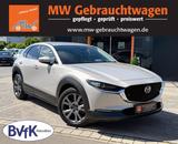 Mazda CX-30 Exclusive-Line 360° ACC AHK LED HUD BOSE - Mazda CX-30 aus 2023