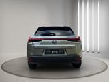 Lexus UX 250h - - Lexus UX Gebrauchtwagen