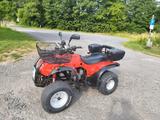 Adly ATV 300 - Angebote