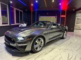 Ford Mustang Convertible 2.3 EcoBoost Cabrio - Ford Mustang mit Schiebedach