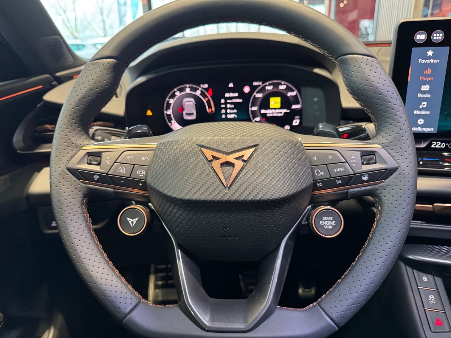 Cupra Terramar - Bild 11