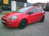 Fiat Punto Punto 5p 0.9 t-air 85cv start&stop Te - Fiat Punto mit Schiebedach