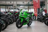 Kawasaki Ninja ZX4RR Shark,sofort lieferbar,Lieferservice - Motorräder in Leipzig