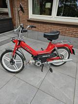 Puch Maxi S ZA 50  2 Gang Automatik - PUCH 50