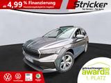 Skoda Enyaq iV60 320,-ohne Anzahlung Pano AHK Matrix - graue Skoda Enyaq
