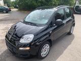 Fiat New Panda 1.2 8V EASY  - 25000 KM 1.Hand Klima - Fiat New Panda in Düsseldorf