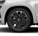 Skoda Karoq - Vorschau Bild 20