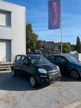 Fiat Panda,   3.700 Km, Klima, Allwetter, ZV, LED - Fiat Panda Gebrauchtwagen in Krefeld