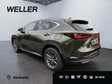 Lexus NX 450h+ E-FOUR Business *Bi-LED*360*Leder*SHZ 4 - Lexus NX 450h Gebrauchtwagen