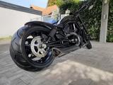Harley-Davidson NIGHT ROD CUSTOM BLACK DOG - HARLEY-DAVIDSON BLACK