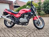 Kawasaki ER 5 Twister - Offers matching your search criteria