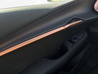 Cupra Tavascan - Vorschau Bild 10