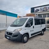 Fiat Ducato 33 2.3 MJT 150CV PC-TN Combi Semi Ve - Fiat Ducato: 15