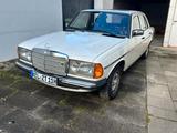 Mercedes-Benz W123 240D ungeschweißt SSD AHK - Mercedes-Benz 240: D