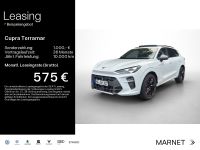 Cupra Terramar - Vorschau Bild 1