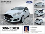 Ford FIESTA*Kamera*Winterpaket*Bluetooth*Spoiler - Ford Fiesta Gebrauchtwagen