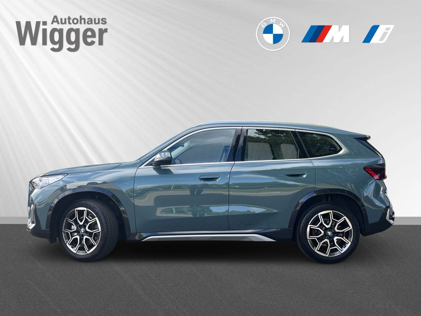 BMW X1 sDrive 20i xLine HUD Navigation HarmanKardon foto 2