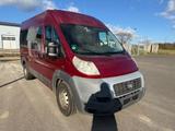 Fiat Ducato Maxi Hochr.-Kombi 35 160 Power Luftfeder - Fiat: 9 Sitzer