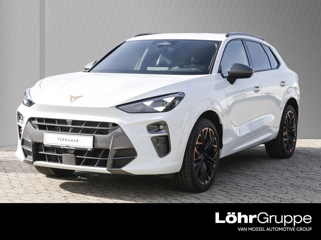 Terramar VZ 2.0TSI 195kW/265PS 7-Gang-DSG 4Drive