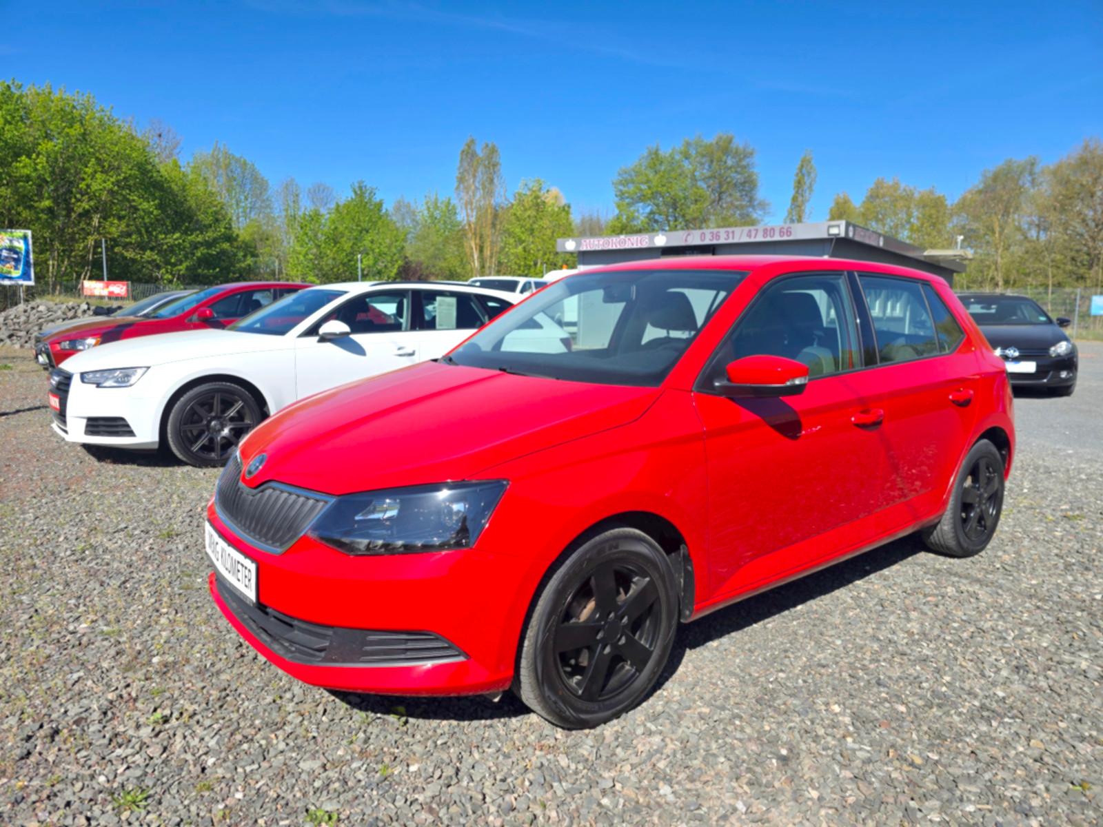 Skoda Fabia Ambition 1.Hand*Sitzheizung*Inspektion neu