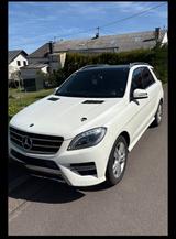 Mercedes-Benz Mercedes Benz 350 MLBluetec ! - Mercedes 350 mit Anhängerkupplung