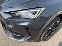 Cupra 