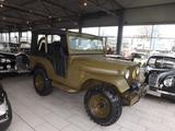Jeep Willys CJ-5 - "Black Friday"-Preis - Jeep Willys Oldtimer mit Benzin-Antrieb: Geländewagen