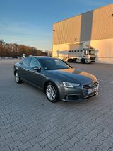 Audi A4 B9 2.0 TDI S tronic | 190 PS | Wen... - Audi A4: Limousine, B9