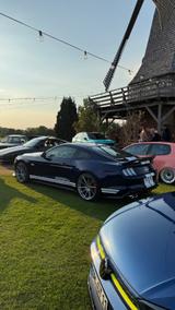 Ford Mustang GT 5.0 EU/Unfallfrei/Voll - Ford Mustang in Hamm