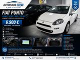 Fiat Punto Lounge/Sport/ NAVI/TÜV NEU - Fiat Punto: Sport