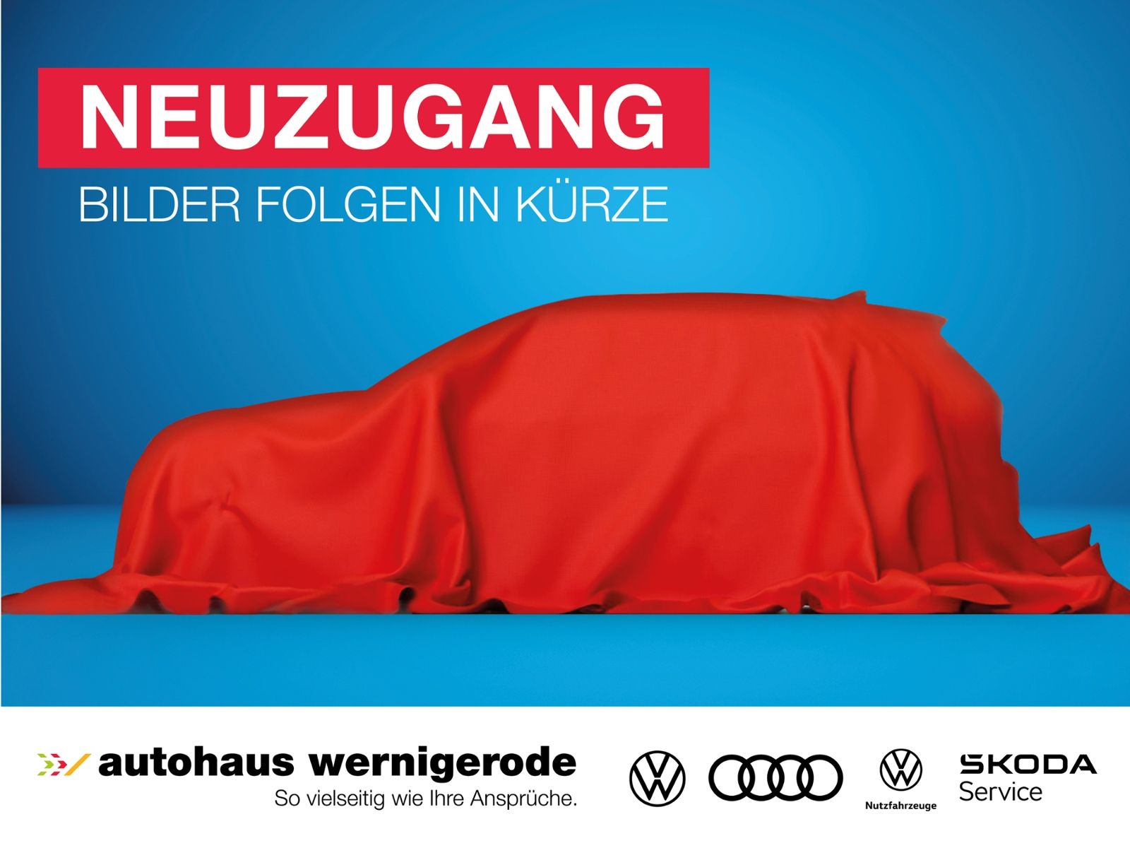 VW Passat Alltrack 2.0TDI 4M Matrix/AHK/Pano/DCC