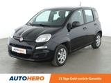 Fiat Panda 1.2 Pop*ALU*KLIMA*CD* - Fiat Panda